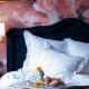 Juliana Hotel & Spa - Brussels Centre, Brusel - Fotografie 7