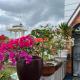 Homestay Phúc Lâm, Vạn Ninh (photo 8)
