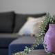 Happy House, Costa di Mezzate (foto 4)