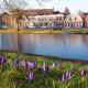 Holiday Home in Alkmaar by Canal - Foto 6