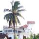 Maeva villa with pool, Jaffna (foto 8)