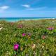 Appartamenti Le Conchiglie by BarbarHouse, Campomarino (fotografie 10)