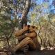 Falcon Estuary Escape, Wannanup (foto 10)