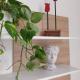 Lovely Apartment in the City Centre, Palermo - Foto 5