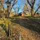 Modern Airstream with amazing view - 10 to 15 minutes from Kings Canyon National Park, Dunlap (foto 7)