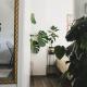 Urban Jungle Apartment 1 - Free Parking, Любляна - Фото 3
