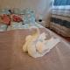 Jackpot Apartman, Budapest - Foto 10