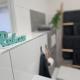 Jireh Home - Modern, Barrierearm, Klinikumsnah, Minden - Foto 10