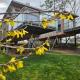Baumhaus und Tinyhaus, Mühlhausen - Foto 2