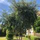 Tamaris Résidence les jardins Apparemment haut standing moderne et élégant 77 m, Casablanca - Photo 10