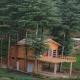 Junga Retreat and Tree House by StayApart, Chail - Foto 9