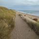 Le Havre de Ré, Le Bois-Plage-en-Ré (photo 9)