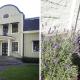 Villastadens Pendlarbostad, Gävle (zdjęcie 6)