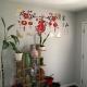 Cozy room, Kitchener (foto 8)