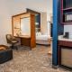 Springhill Suites by Marriott San Antonio Alamo Plaza/Convention Center, San Antonio - Fotografie 6