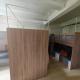 Panda Lodge Home Stay, Bangkok - Photo 3