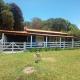 Casa complexo da Zilda, Carrancas - Foto 2