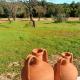 La Quinta da Liberdade - Ferme de charme en Algarve, Pechão (fotografie 6)