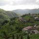 Casa Rural, paz y naturaleza., Los Quintanales (Foto 3)