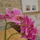 B&B Cuore Barocco, Ragusa (foto 10)