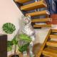 Orso Apartment, Roma - Foto 7