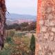 La casina, Acquaviva (foto 2)