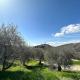 Tuscany Panoramic View - Relax in Val D'Orcia, Seggiano (foto 4)