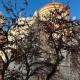 Triple A - Stylish Seven On The Pedestrian - FREE Parking!, Athen - Foto 9