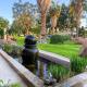 Goba Lodge & Rest Camp, Gobabis (foto 3)