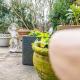 Haus-Archsum, Archsum - Photo 8