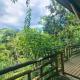 Villa Gatto Chalés - Visconde de Maua, ボカイーナ・デ・ミナス - 写真 9