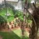 Jardin des belvédères, Casablanca - Photo 5