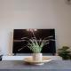 Classy and stylish flat near Pagrati region (D2), Athen - Foto 7