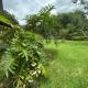 Casa Bambu, Lajeado - 写真 6