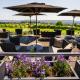 Relais & Châteaux Hotel Burg Schwarzenstein, Geisenheim - Foto 4