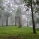 900 Woods Wayanad Eco Resort - A Sprawling Jungle Stay near Glass Bridge, Meppādi - Foto 7