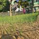 EcoHome, mayapur - Foto 10