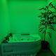 Green room z opcją jacuzzi, Katowice (foto 7)