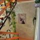 Apartman Aurora