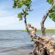 Ferienhaus Altwarp mit Sauna, Kamin und Wasserblick, Altwarp - 写真 6