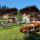 Ferienhaus im Almdorf in Flachau, Flachau (fotografie 3)