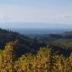 Lovely apartment in Baden-Württemberg, Giedensbach - Photo 5