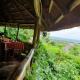 Pumba Safari Cottages, Busonga - Fotografie 2