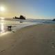 Bliss on the Beach - Whangapoua - Foto 5