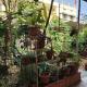 Homestay Urmil Basant, Jaipur - Foto 9