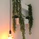 Broom House, San Foca (foto 2)