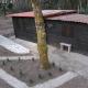 Cabaña quinta do Conde, Ponteareas (fotografie 9)