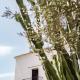 Finca Legado Ibiza, Санта-Эулалия-дель-Рио (фото 5)