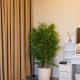 BGC 3BR Uptown Parksuites with bathtub 16, Manila - Foto 5