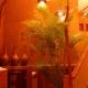 Kactus Lodge, Pointe-Noire (foto 5)